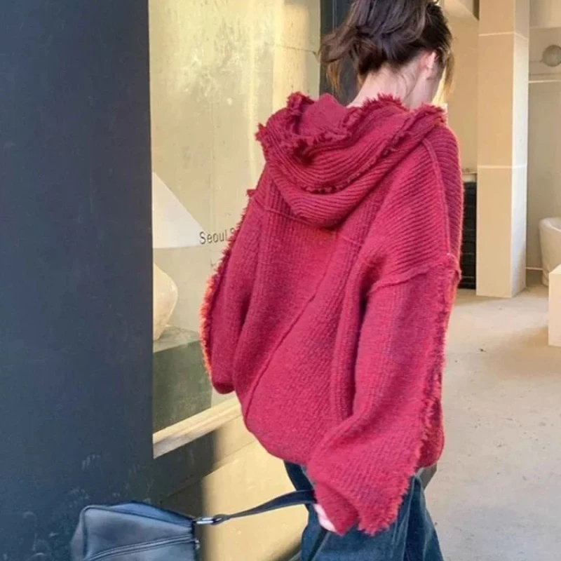 Autumn and Winter Thick Hoodie - Winter Clothing Essential recension och pris