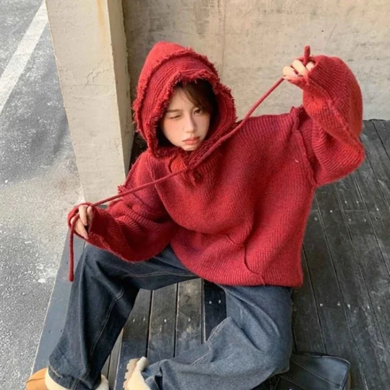 Autumn and Winter Thick Hoodie - Winter Clothing Essential recension och pris